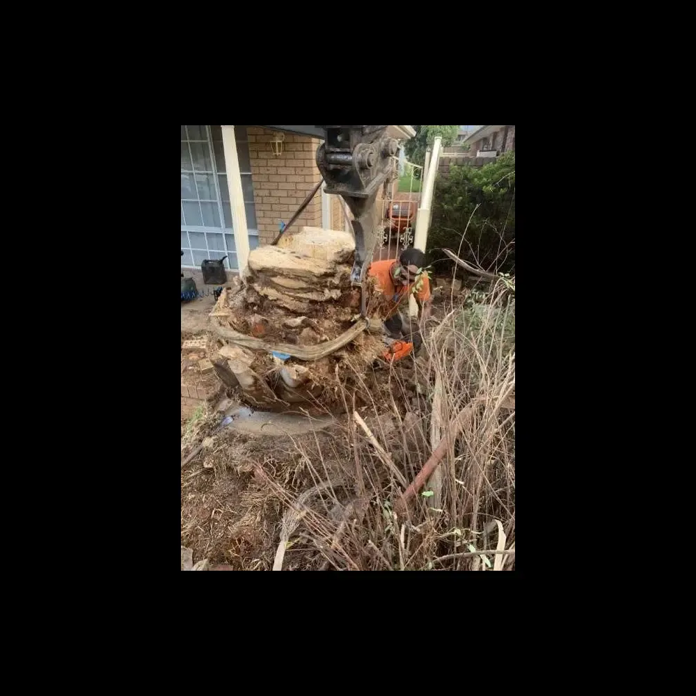 1_https___mediacache.homeimprovementpages.com_.au_creative_galleries_2485001_2490000_2487630_original_images_3208069