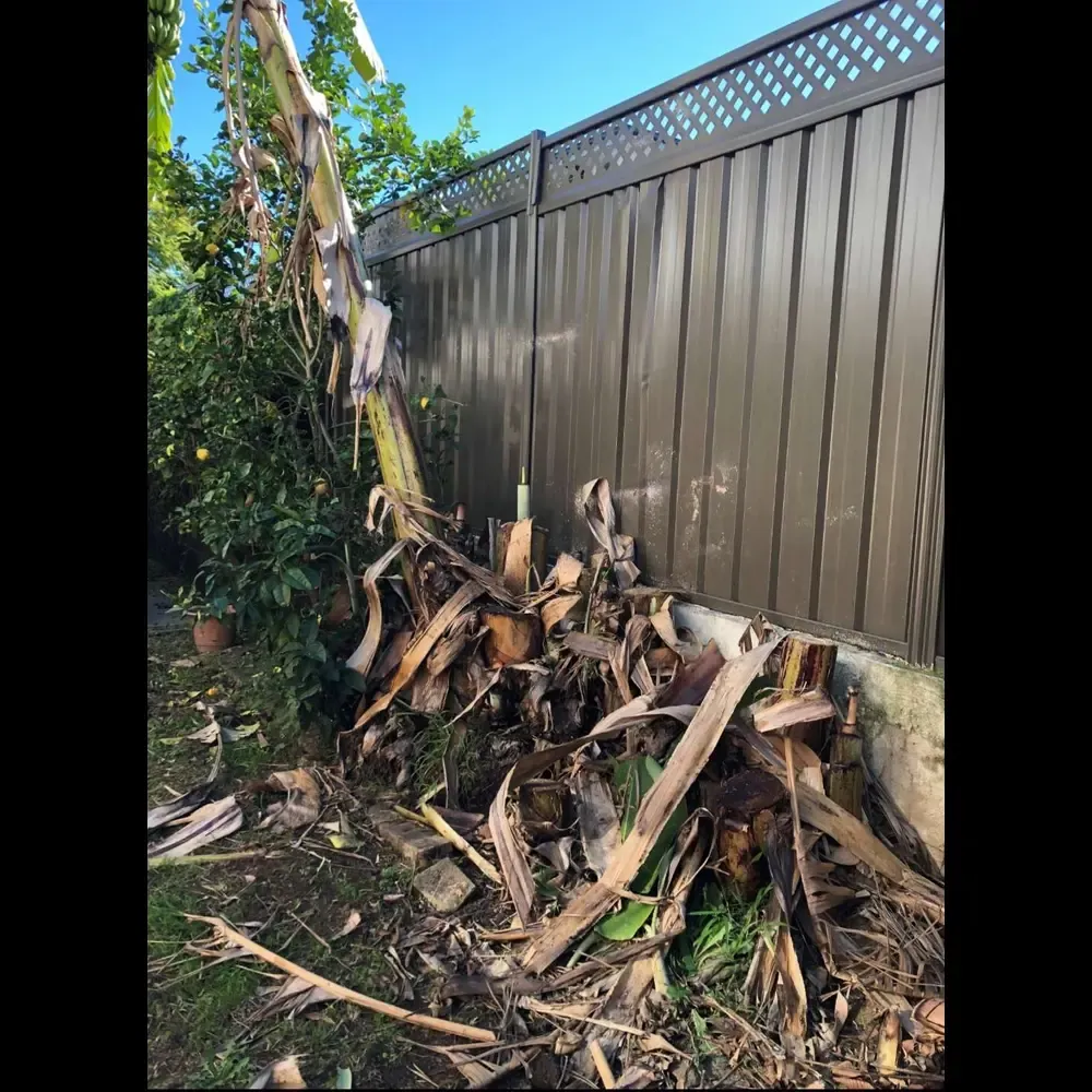 https___mediacache.homeimprovementpages.com_.au_creative_galleries_2485001_2490000_2487630_original_images_3220714