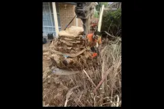 1_https___mediacache.homeimprovementpages.com_.au_creative_galleries_2485001_2490000_2487630_original_images_3208069