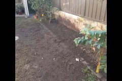 1_https___mediacache.homeimprovementpages.com_.au_creative_galleries_2485001_2490000_2487630_original_images_3220710