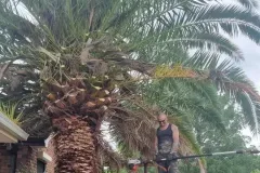 1_peta-1-e1769383170803