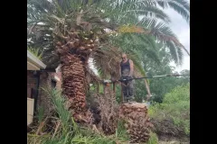 https___mediacache.homeimprovementpages.com_.au_creative_galleries_2485001_2490000_2487630_original_images_3208058-1