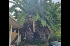 https___mediacache.homeimprovementpages.com_.au_creative_galleries_2485001_2490000_2487630_original_images_3208068